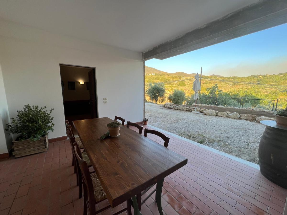La Casa Di Demetra. Un Paradiso Tra Gli Olivi. Montecchio  Luaran gambar