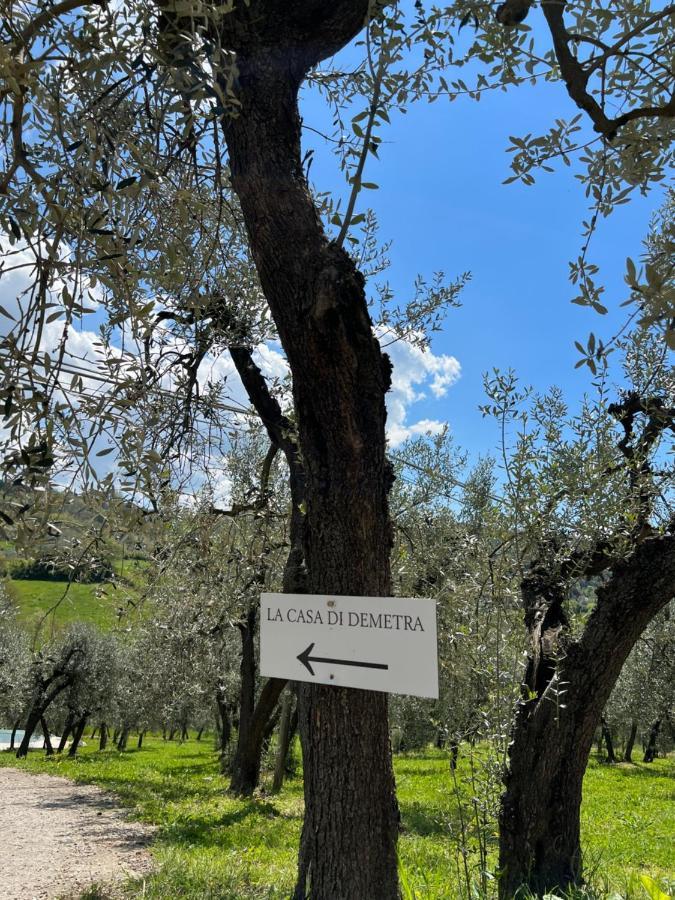 La Casa Di Demetra. Un Paradiso Tra Gli Olivi. Montecchio  Luaran gambar